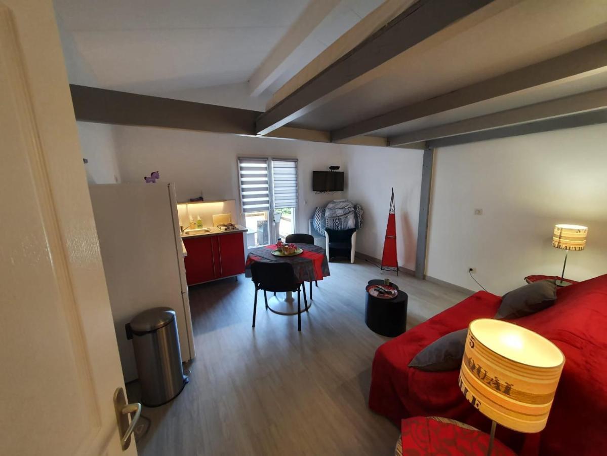 Dormir A Montauban Logements Carreyrat Calme Et Verdoyant Экстерьер фото