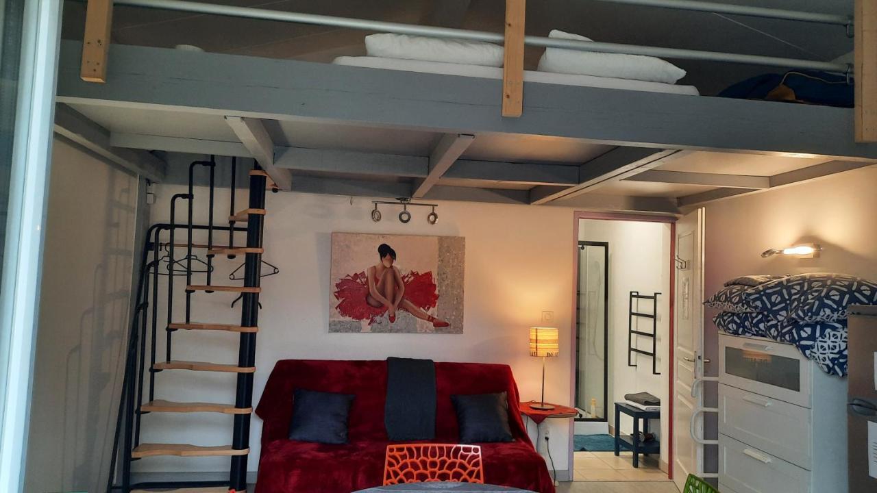 Dormir A Montauban Logements Carreyrat Calme Et Verdoyant Экстерьер фото